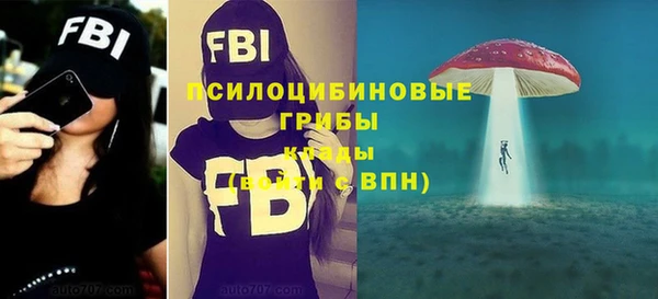 круглые Абаза