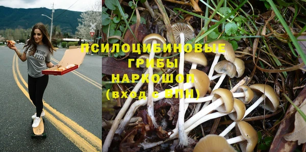 сатива Абдулино