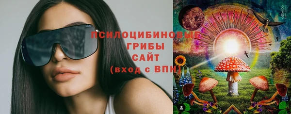 круглые Абаза
