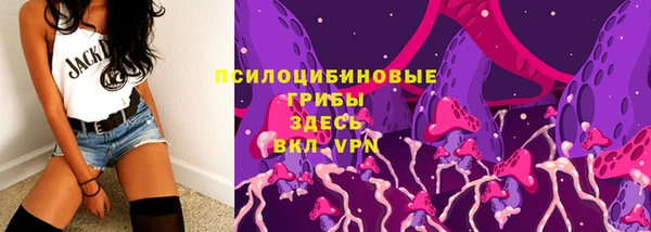 хмурый Абинск